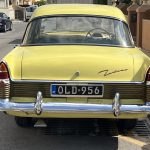 Zodiac Yellow5